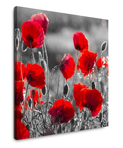 EAUZONE GmbH Rote Mohnblumen im Feld 60x60cm Wandbild auf Leinwand, Kunstdruck Moderne Bilder von EAUZONE GmbH