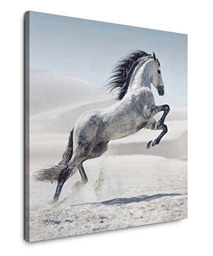 EAUZONE GmbH Weißes Pferd 60x60cm Wandbild auf Leinwand, Kunstdruck Moderne Bilder von EAUZONE GmbH