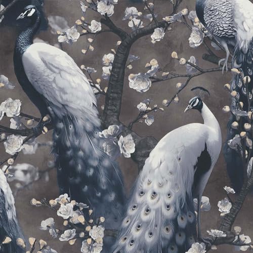 EB-Erismann Vliestapete Pfau Blüten Zweige Floral Braun Grau Schwarz 10414-15 EB-Erismann Vliestapete Pfau Blüten Zweige Floral Braun Grau Schwarz 10414-15 von EB-Erismann