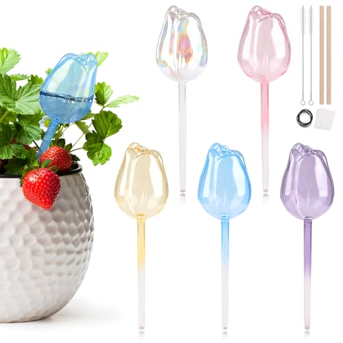 EBANKU 5 Pcs Blume Form Pflanze selbst Bewässerung Globen und 2 Reinigungsbürsten, Pflanze Bewässerung Gerät Pflanze Wasser Glas Glühbirnen, bunte automatische Pflanze Waterer System Tropfer Ideal EBANKU 5 Pcs Blume Form Pflanze selbst Bewässerung Globen und 2 Reinigungsbürsten, Pflanze Bewässerung Gerät Pflanze Wasser Glas Glühbirnen, bunte automatische Pflanze Waterer System Tropfer Ideal von EBANKU