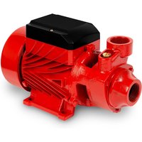 EBERTH Wasserpumpe Gartenpumpe Kreiselpumpe Saugpumpe, 1 Zoll Anschluss, 370 Watt Leistung, 8m Ansaughöhe, 35m Förderhöhe, 2.100 L/h Fördermenge, von EBERTH