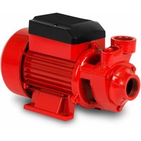EBERTH Wasserpumpe Gartenpumpe Kreiselpumpe Saugpumpe, 1 Zoll Anschluss, 370 Watt Leistung, 8m Anzaughöhe, 40m Förderhöhe, 2.400l/h Fördermenge, von EBERTH