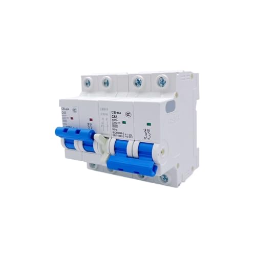 DC/AC 110 V 220 V Doppel Power Automatic Transfer Switch Circuit Breaker for PV Solar Energie System Elektrische fahrzeug(2P 220V,10A) von EBGAZSPD
