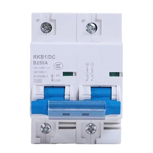 DC 2p DC Circuit Breaker 12-125V 1P Automatische Protector Elektrische Fahrzeug 80A/100A/125A/200A/250A Batterie Schutz(1P,200A) von EBGAZSPD