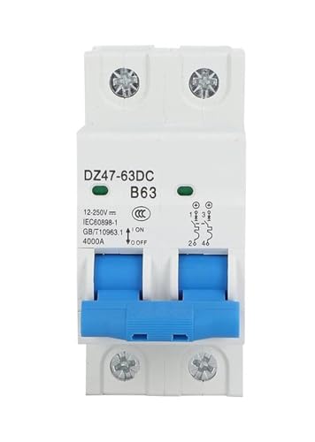 DC-Leistungsschalter 24 V 36 V 48 V 60 V 72 V Leistungsschalter Schaltung Schutzschalter 63 A 80 A 100 A 125 A E-Bike Scooter Netzschalter(2P,10A) von EBGAZSPD