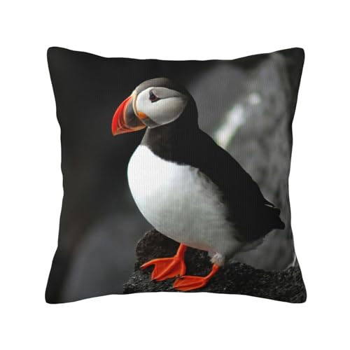 Atlantischer Papageientaucher-Vogelschnabel-Sitzfelsen, Kissenbezug, dekorativer Überwurf-Kissenbezug, weiche Polyester-Kissenbezüge, 45 x 45 cm von EBOSCUJW