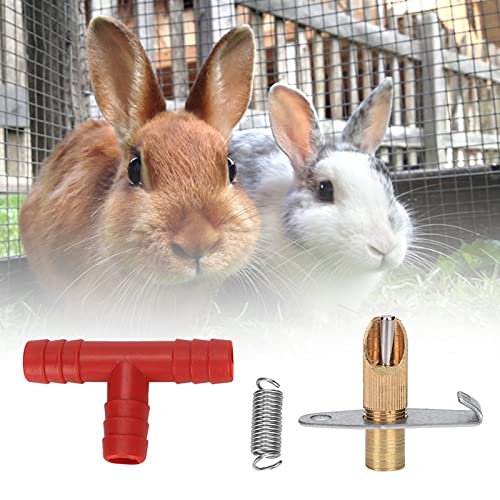 EBTOOLS 100 Prozent Automatischer Trinker für Kaninchen und Kleine Tiere - Verchromter Plattentrinkbrunnen mit Design (Entenbalken-Wassertrinkvorrichtung für Kupfer) von EBTOOLS