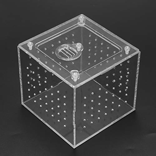 EBTOOLS 1pc Acryl -Reptilien -Terrarium Feederbox mit Schloss für Schlangen, Spinnen, Eidechsen, Grillen und EBTOOLS 1pc Acryl -Reptilien -Terrarium Feederbox mit Schloss für Schlangen, Spinnen, Eidechsen, Grillen und von EBTOOLS