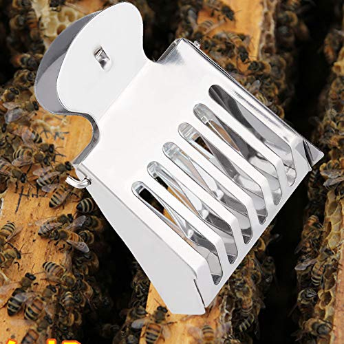 EBTOOLS Edelstahl -Bienenfänger Clamp/Holder - Wesentliches Werkzeug für Imker Sicher, und Einfach zu Bedienen von EBTOOLS