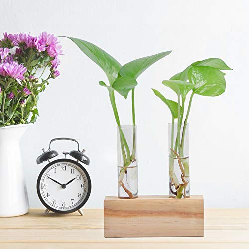 EBTOOLS Glastrobe Blumentopf Hydroponische Pflanze Vase Terrarium Container Wohnkultur mit Elegantem Rack für Moderne Ästhetik EBTOOLS Glastrobe Blumentopf Hydroponische Pflanze Vase Terrarium Container Wohnkultur mit Elegantem Rack für Moderne Ästhetik von EBTOOLS