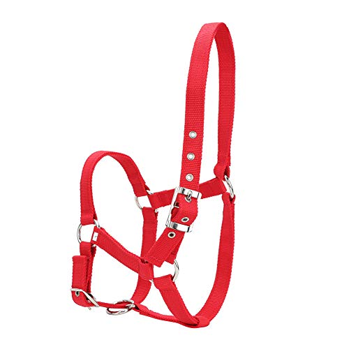 EBTOOLS Hohe Dichte 6 Mm Verdickte Gurtblockhalter -Zieh -Accessoire Hellrote Farbe EBTOOLS Hohe Dichte 6 Mm Verdickte Gurtblockhalter -Zieh -Accessoire Hellrote Farbe von EBTOOLS