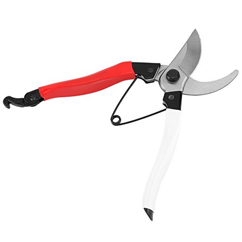 EBTOOLS Home -Handwerkzeug -Schnittschere mit Omic G Ideal für Gartenarbeit und Ming PL - und eine Schere vor der Schere von EBTOOLS