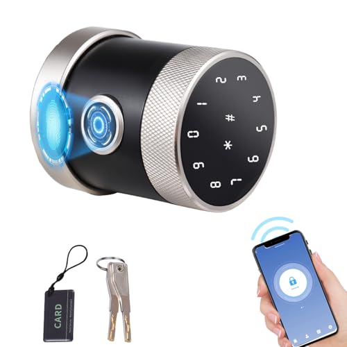 EBTOOLS KEYLOSE-Eintrag 5-in-biometrisch mit App, Fingerabdruck, Tastatur und Mechanischer Schlüssel für Zuhause, Wohnung oder Bürosicherheit (schwarzes Silber) von EBTOOLS
