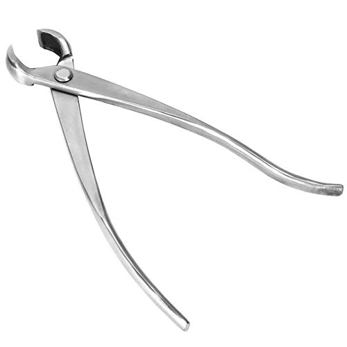 EBTOOLS Konkavenschneider aus Rostfreiem Stahl für Bonsai Gardening - Ergonomischer 210 -mm & Branch Schneidwerkzeug EBTOOLS Konkavenschneider aus Rostfreiem Stahl für Bonsai Gardening - Ergonomischer 210 -mm & Branch Schneidwerkzeug von EBTOOLS