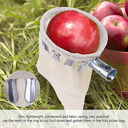 EBTOOLS Obstpicker -Kopfkorb -Werkzeug für Einfache Ernte Effizienter Fänger mit Design und Ergonomischem Griff von EBTOOLS