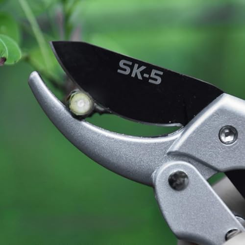 EBTOOLS SK -5 -Stahlschneidemars mit Komfortgriff Gartenschere für Trimmrosen, Hecken und Zweige EBTOOLS SK -5 -Stahlschneidemars mit Komfortgriff Gartenschere für Trimmrosen, Hecken und Zweige von EBTOOLS