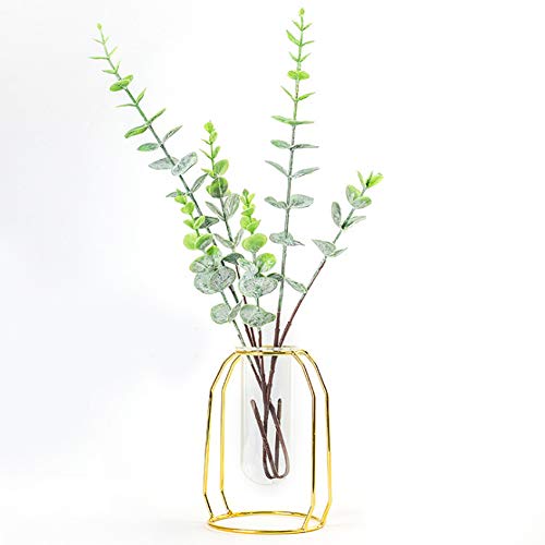 EBTOOLS Transparente Hydroponik -Pflanzenvasen mit Modernem Design für Home Decoration & Tabletop Gold (Gold) von EBTOOLS