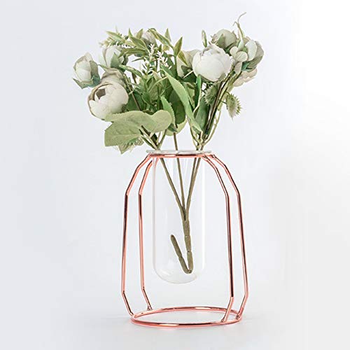 EBTOOLS Transparente Hydroponik -Pflanzenvasen mit Modernem Design für Home Decoration & Tabletop Gold (Roségolden) von EBTOOLS
