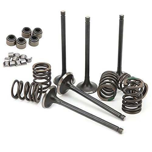 Zylinderkopfeinlassventilkit für Grizzly 660 YFM660F 4WD 2002-2008 - Ersatzteile von EBTOOLS