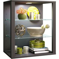 Holz Glas Stand Vitrine Glasol SW von EBUY24