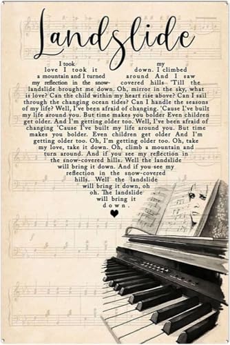 Vintage-Aluminium-Metallschild mit Liedtext, Liedtext, Liedtext, Stevie Nicks, Musik, Wandkunst, Songtext, Kunstdruck, hängende Blechschilder, Badezimmerschilder, 30,5 x 20,3 cm von EBVUOZ