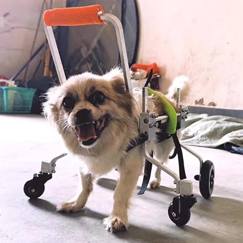 EBZFASO Verstellbarer Rollstuhl für kleine Hunde – Hilfsm Hunderollstuhl, Aluminiumlegierung, verstellbar, 4 Räder, Geschirr und Bauchstütze, mehrere Größen(XS(Widen)) von EBZFASO