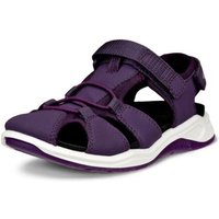 Ecco Riemchensandale "X-TRINSICK", Sommerschuh, Outdoorsandale, Trekkingsandale mit Klettriemchen Ecco Riemchensandale "X-TRINSICK", Sommerschuh, Outdoorsandale, Trekkingsandale mit Klettriemchen von ECCO