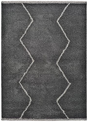 ECCOX - Hochflorteppich aus Polypropylen mit Jute-Unterseite, weicher und strapazierfähiger Teppich, für Eingang, Wohnzimmer, Esszimmer, Schlafzimmer, Ankleidezimmer, Anthrazit (160 x 230 cm) von ECCOX