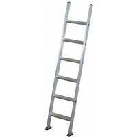 Echelle Direct - Anlegeleiter 9-stufig, zu erreichende Höhe 2.75m - PM295/LPA von ECHELLE DIRECT
