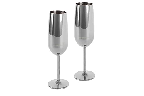 ECHTWERK Sektglas, Champagnerglas, Sektkelche aus Edelstahl, Unzerbrechliche Gläser, Partygläser für Hochzeit/Geburtstag/Picknick, Geschenkset, 2-tlg, 250 ml, Silber-Edition von ECHTWERK