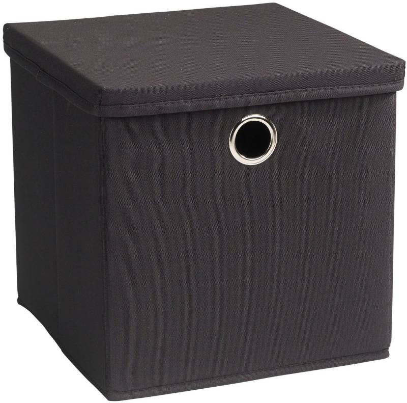 ECHTWERK Aufbewahrungsbox Aufbewahrungskiste mit Deckel und Metallöse (1 St), Faltbar/Klappbar/Praktisch von ECHTWERK