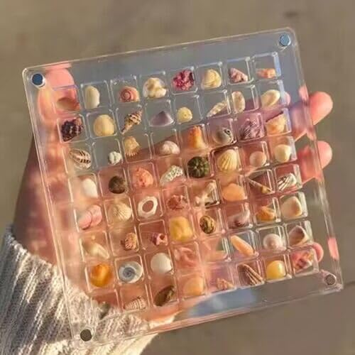 ECMQS Praktische Shell-Magnetvitrine, Acryl-Shell-Vitrine mit sicherer Magnetdichtung für Meeresliebhaber von ECMQS