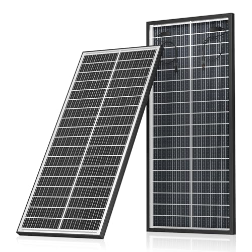 120W Bifaziales Solarpanel, Monokristallines Photovoltaik Solarzelle, Doppelseitige Solarmodul für 12V Batterien, PV Modul mit Vorgebohrtem LochIdeal Unterstützung in Trolling, Camping, Wohnmobil von ECO-Baeerss