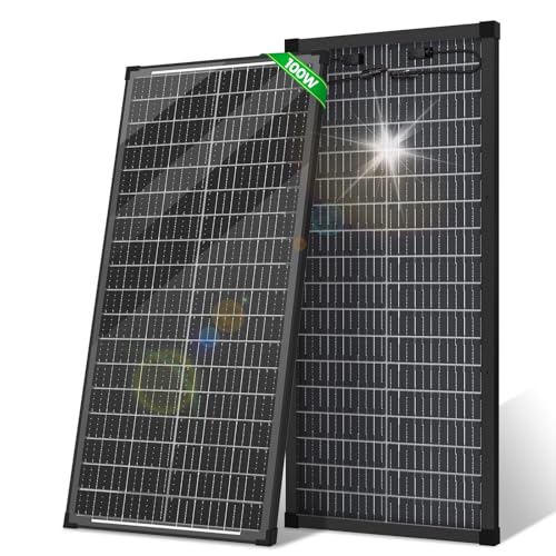 Bifaziales Solarpanel 100W/200W,Monocrystalline Solar Panels, Doppelseitige Solarmodul für 12V Batterien,PV Modul mit Vorgebohrtem LochIdeal Unterstützung in Trolling,Motor,RVs (2 * 100w) von ECO-Baeerss