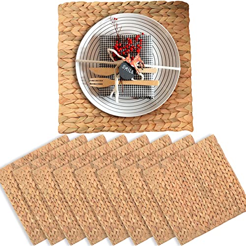 Boho Platzsets für Esstisch 8er Set, Wasserhyazinthe Tischsets für Runden Tisch, Quadratische Tischsets für Quadratische Tische, Gewebte Tischsets 8er Set, Bauernhaus Tischsets 30,5 cm von ECO FRIENDLY HOMEWARE VNCK
