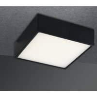 ECO-Light LED-KLIO-Q11 NER LED-KLIO-Q11 NER Deckenleuchte LED 16W Schwarz von ECO-Light