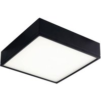 ECO-Light LED-KLIO-Q17 NER LED-KLIO-Q17 NER LED-Deckenleuchte LED 22W Schwarz von ECO-Light