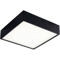 ECO-Light LED-KLIO-Q21 NER LED-KLIO-Q21 NER LED-Deckenleuchte LED 36W Schwarz ECO-Light LED-KLIO-Q21 NER LED-KLIO-Q21 NER LED-Deckenleuchte LED 36W Schwarz von ECO-Light