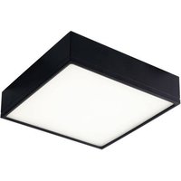 ECO-Light LED-KLIO-Q21 NER LED-KLIO-Q21 NER LED-Deckenleuchte LED 36W Schwarz von ECO-Light