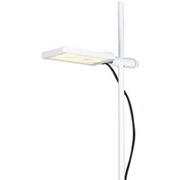 ECO-Light LED-BOOK-PT-BCO LED-BOOK-PT-BCO LED-Stehlampe LED 17W Weiß von ECO-Light