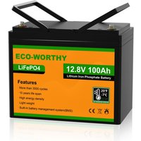 Eco-worthy - Lithium batterie 12V 100Ah LiFePO4 Akku mit über 3000+ Tiefzyklus und bms Schutz für Solaranlage, Wohnmobil, Boot,Solarpanel Kit und von ECO-WORTHY