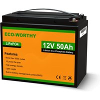 Eco-worthy - 12V 50Ah LiFePO4 Akku Lithium batterie wiederaufladbar mit über 3000 Mal Tiefzyklus und BMS-Schutz für Wohnmobile, Boote, Solaranlagen, von ECO-WORTHY