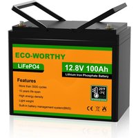 Eco-worthy - 12V 100Ah Low Temp Cut-Off LiFePO4 Akku Lithium Batterie mit 100A bms schutz und 3000-15000 Zyklen,1280Wh Lithiumbatterie für von ECO-WORTHY