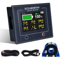 ECO-WORTHY 100V Digitaler LCD Batterie Monitor Berührbare Kapazität Voltmeter Analysator 200A von ECO-WORTHY