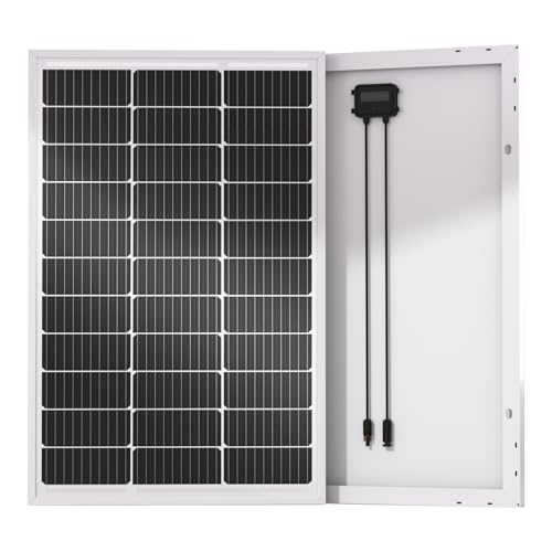 ECO-WORTHY 100W Solarpanel Monokristallines, 12V Solarmodul mit Aluminiumrahmen, Geeignet für 12V Batterien Boot, Wohnmobile, Gartenhäuse, Haus von ECO-WORTHY
