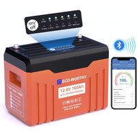 Eco-worthy - LiFePO4 Akku 12V 100Ah Bluetooth und WiFi Lithium Batterie mit Monitor-Anzeigelampe,100 bms Niedrigtemperaturschutz, automatischer von ECO-WORTHY