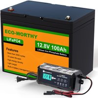 Eco-worthy - 12V 100Ah LiFePO4 Akku Lithium batterie 12V und 10A Batterie Ladegerät BatterieLadegerät von ECO-WORTHY