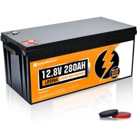 12V 280Ah LiFePO4 Akku mit über 4000+ Mal Tiefzyklen und bms Schutz, perfekter Ersatz für Lithium batterie 200ah 300ah für von ECO-WORTHY