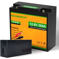 12V 8Ah 20ah 30ah LiFePO4 Akku Lithium Batterie wohnmobil mit 4A LiFePO4 Ladegeräte 30ah Akku - Eco-worthy von ECO-WORTHY