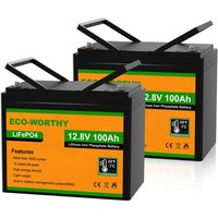 Eco-worthy - 12V 100Ah Low Temp Cut-Off LiFePO4 Akku Lithium Batterie mit bms schutz und 3000-15000 Zyklen,1280Wh Lithiumbatterie für von ECO-WORTHY